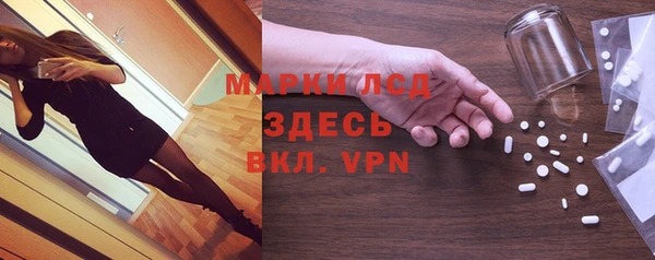 PSILOCYBIN Армянск