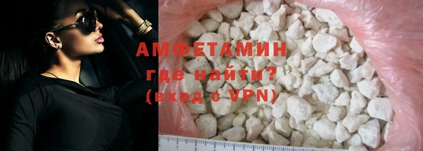 шишки Арсеньев