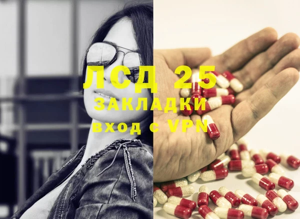 PSILOCYBIN Армянск
