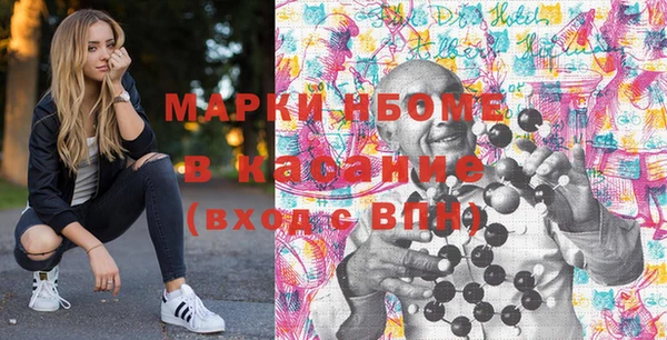 шишки Арсеньев
