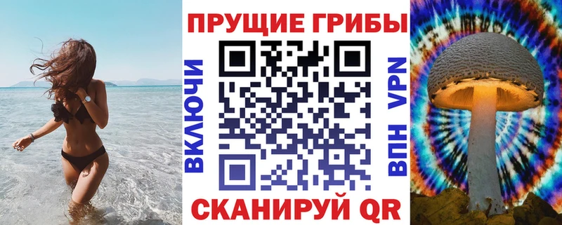 Галлюциногенные грибы GOLDEN TEACHER  ОМГ ОМГ как зайти  Катав-Ивановск 
